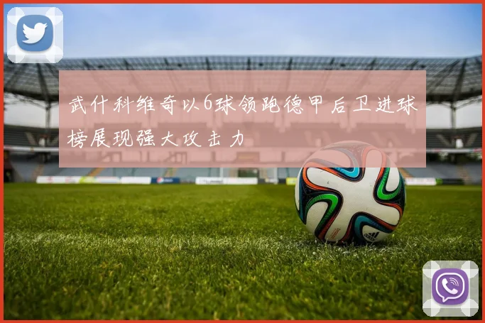 武什科维奇以6球领跑德甲后卫进球榜展现强大攻击力