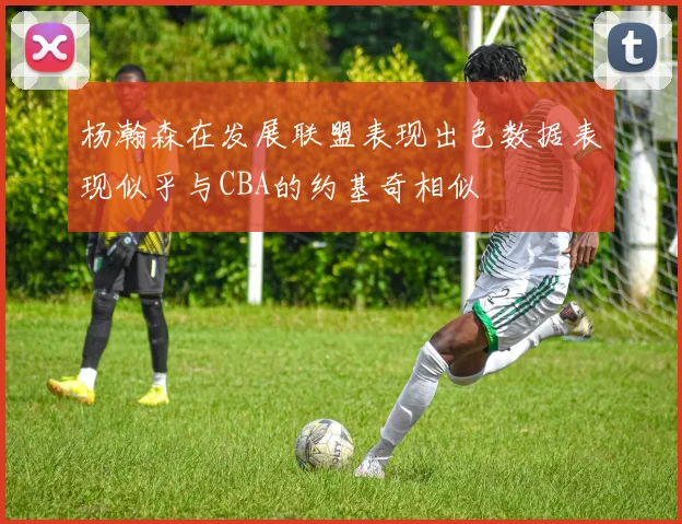 杨瀚森在发展联盟表现出色数据表现似乎与CBA的约基奇相似